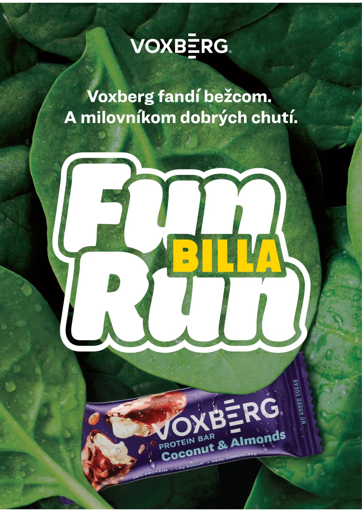 Billa - strana 31