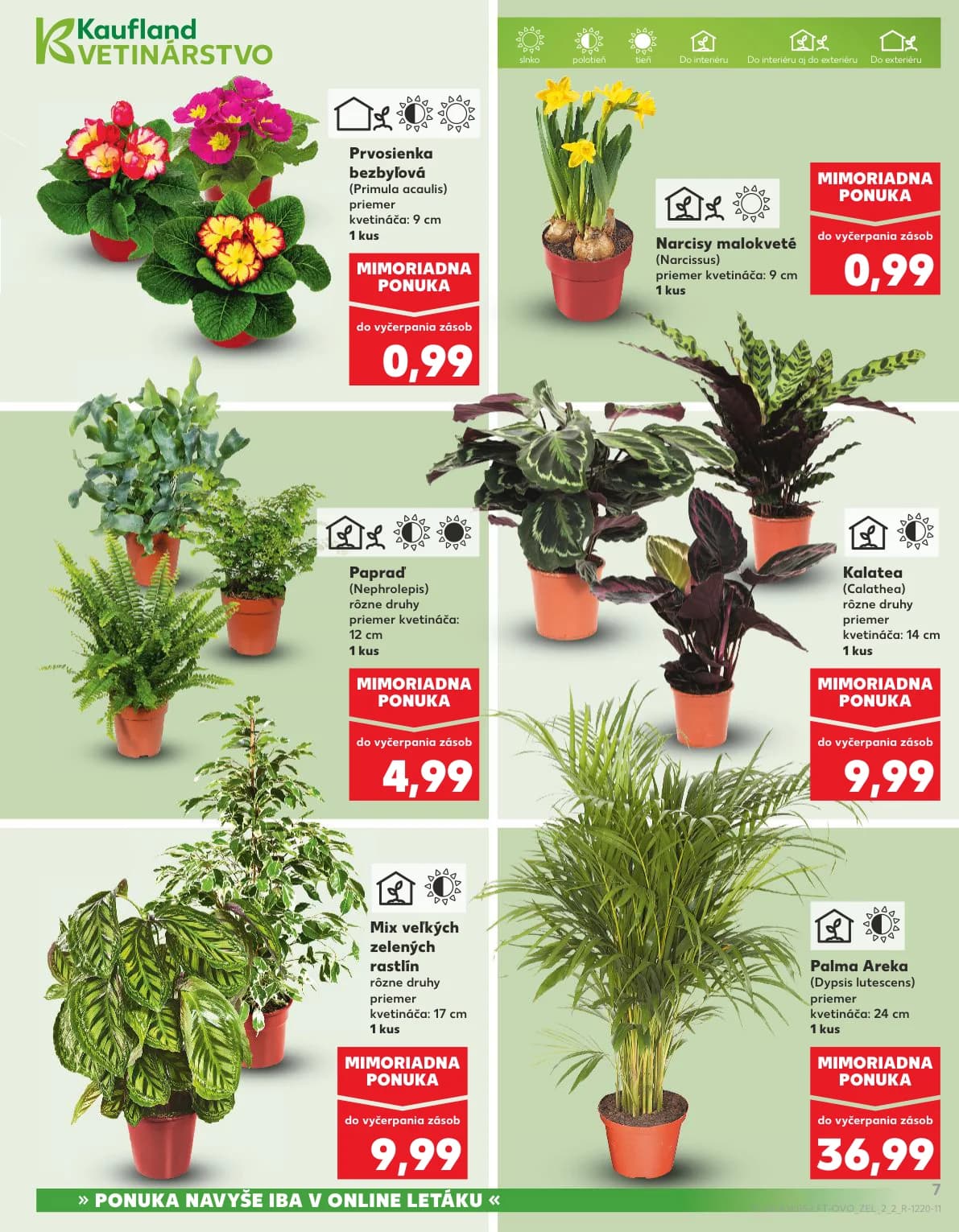 Kaufland - strana 7