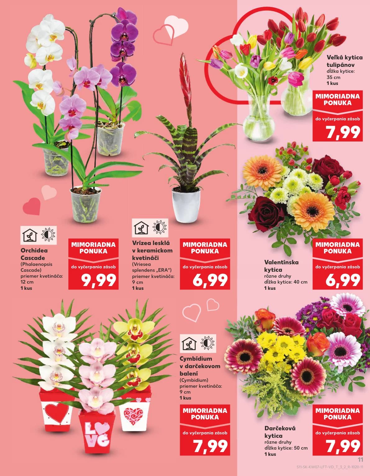 Kaufland - strana 11