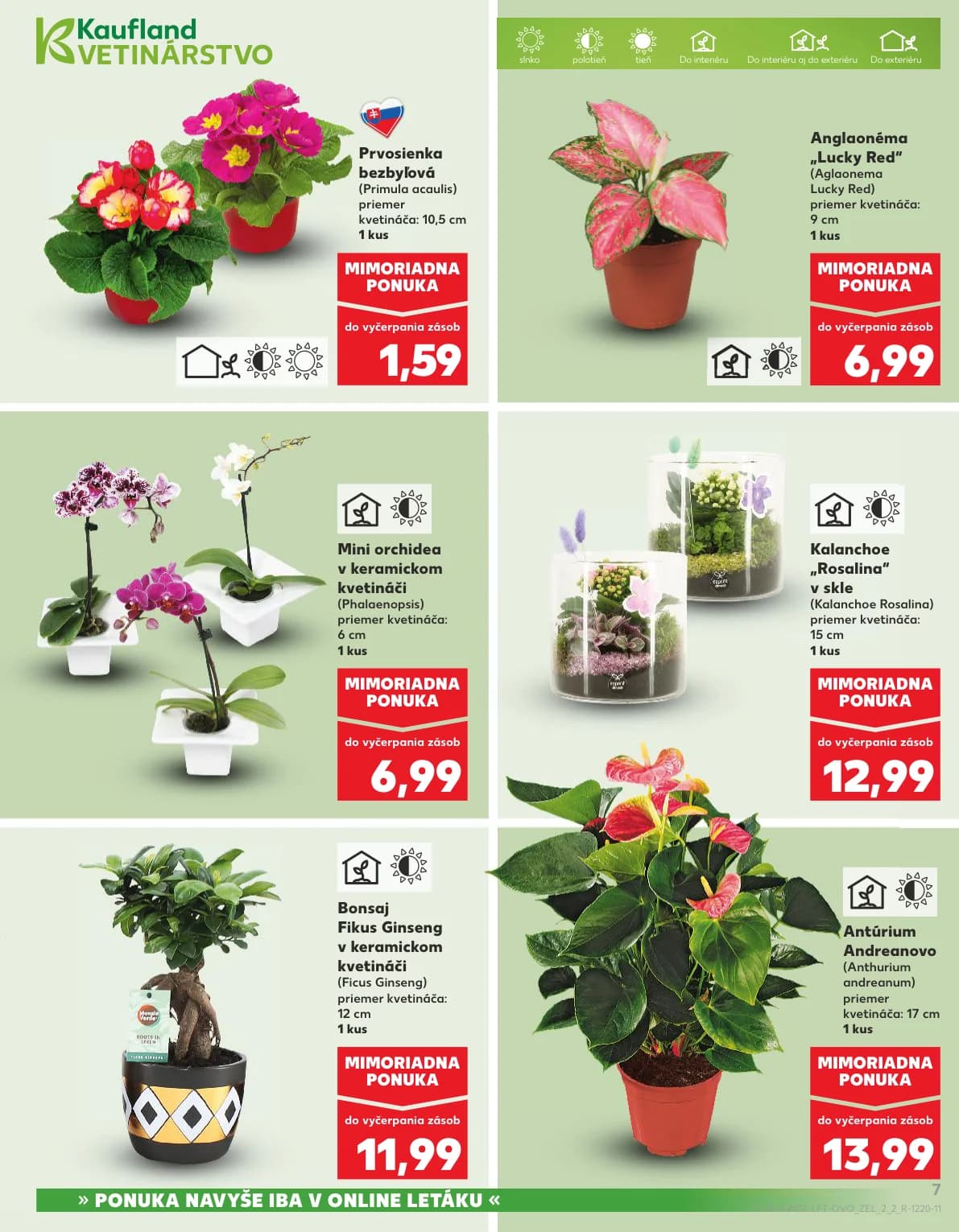 Kaufland - strana 7