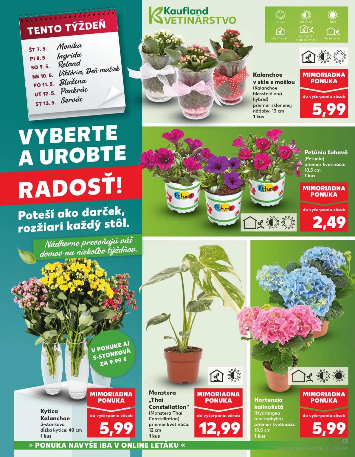 Kaufland - strana 13