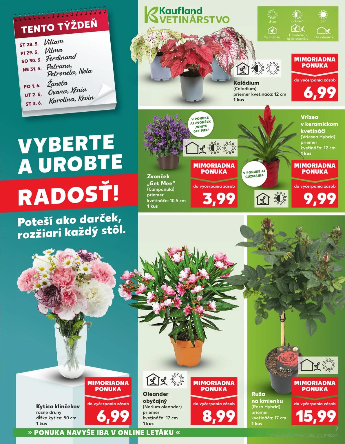 Kaufland - strana 7