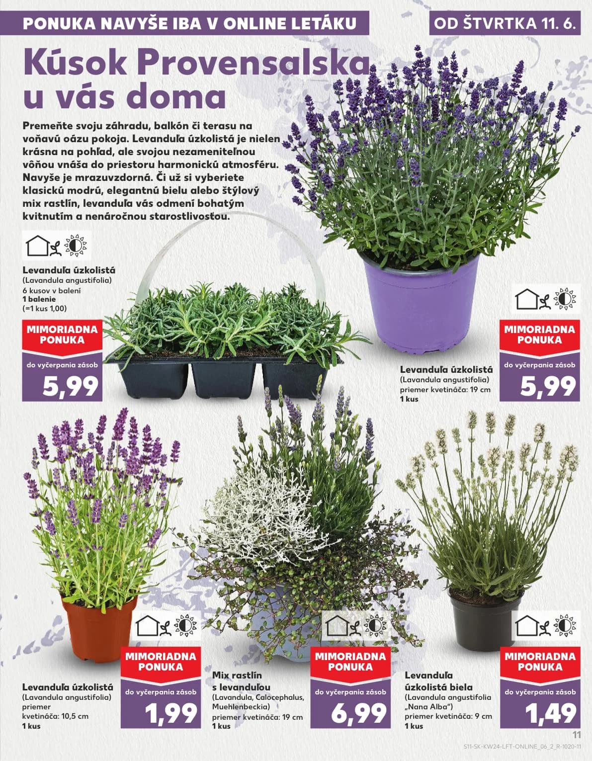 Kaufland - strana 11