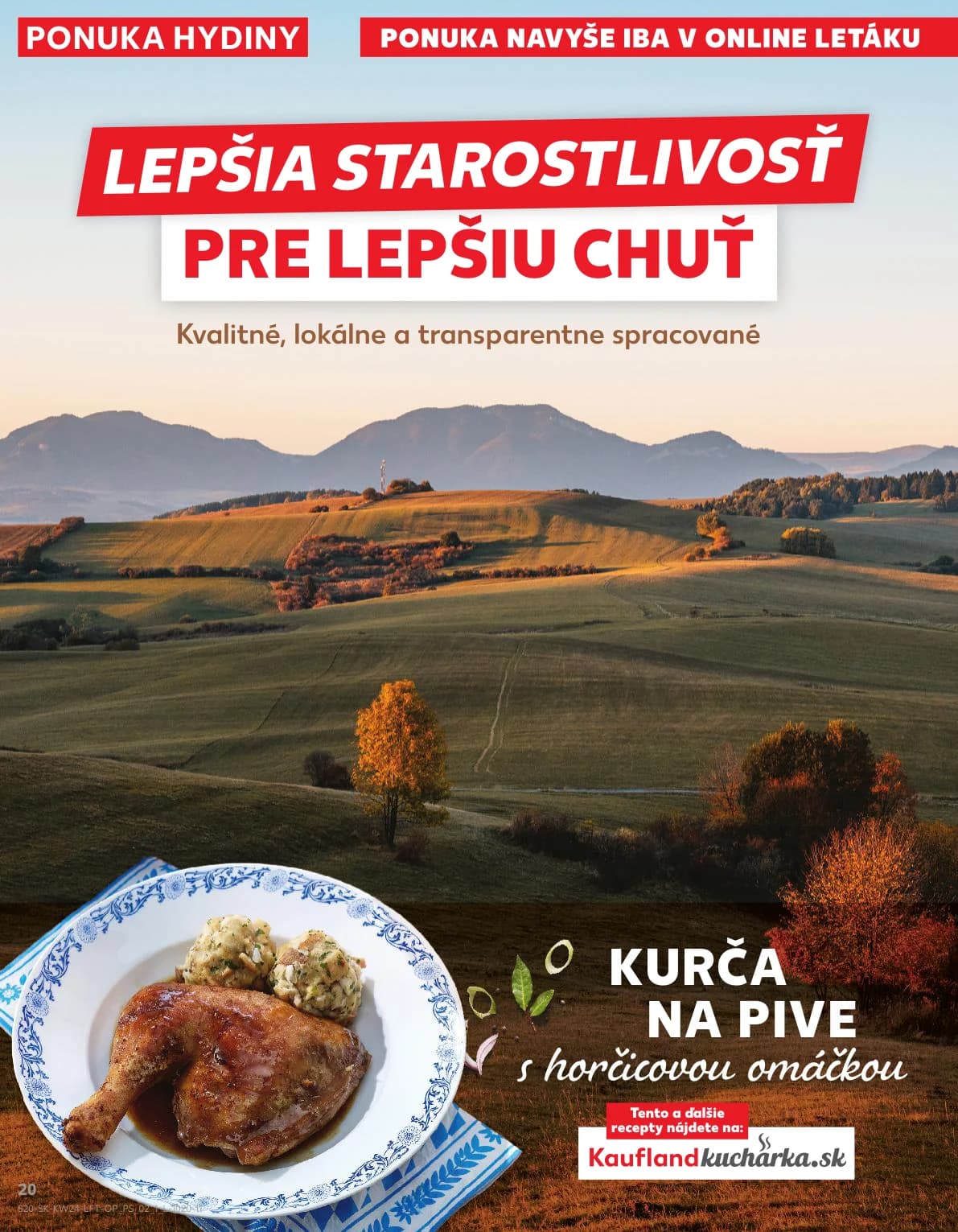 Kaufland - strana 20