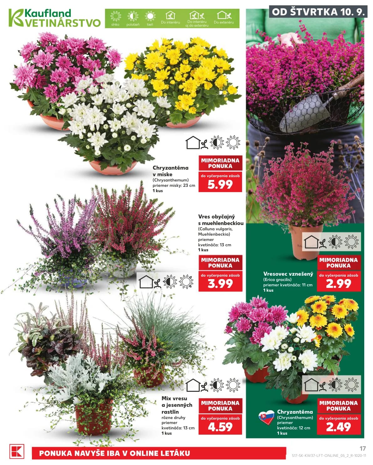 Kaufland - strana 17