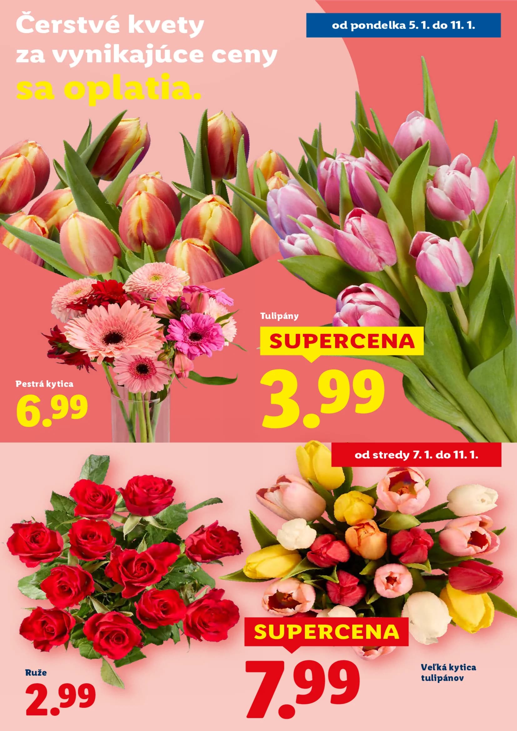 Lidl - strana 54