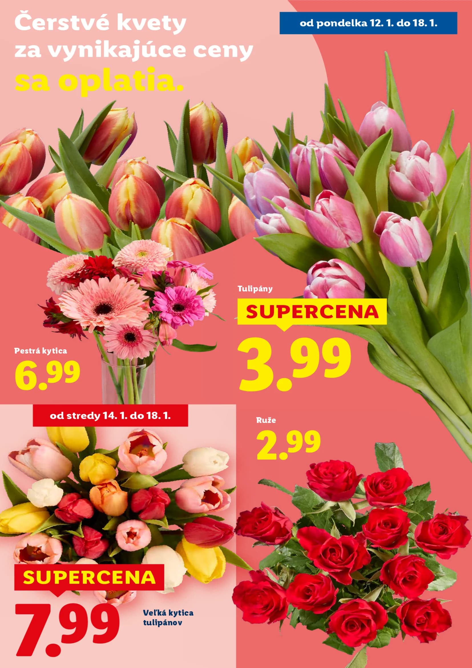Lidl - strana 34