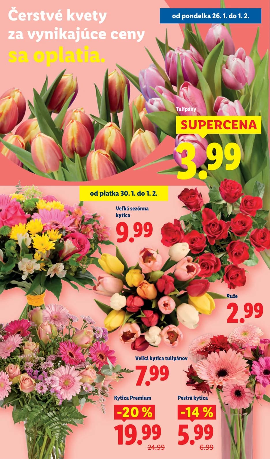 Lidl - strana 46
