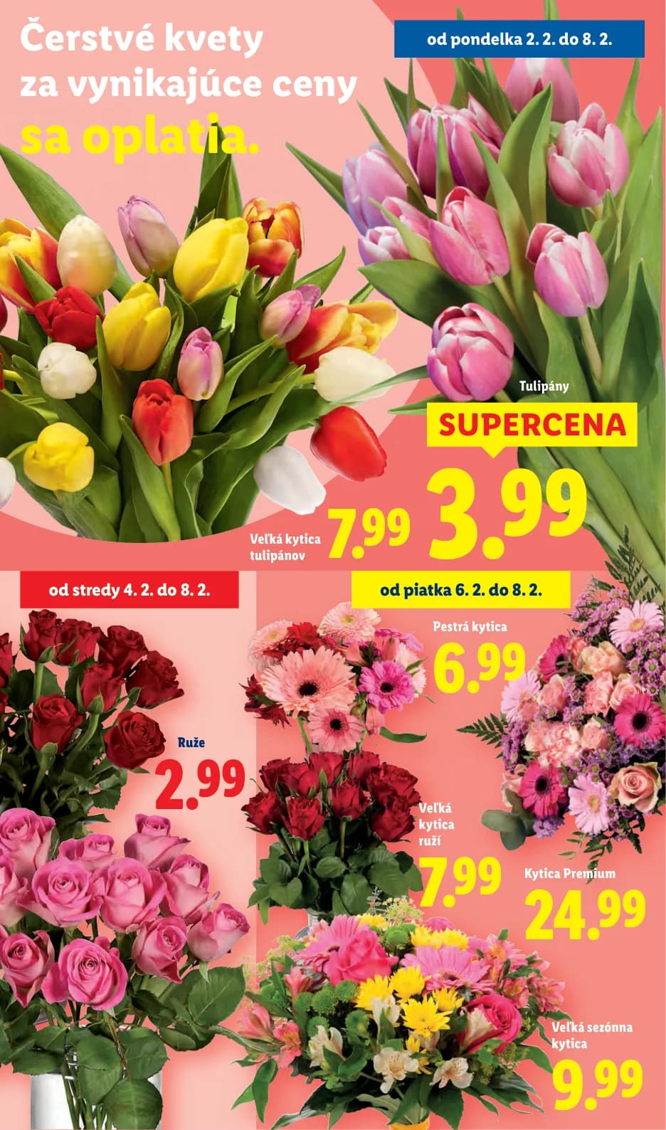 Lidl - strana 36