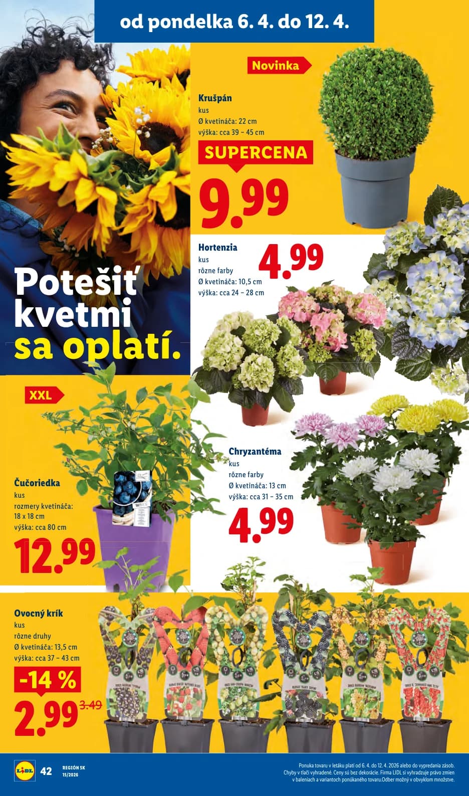Lidl - strana 34