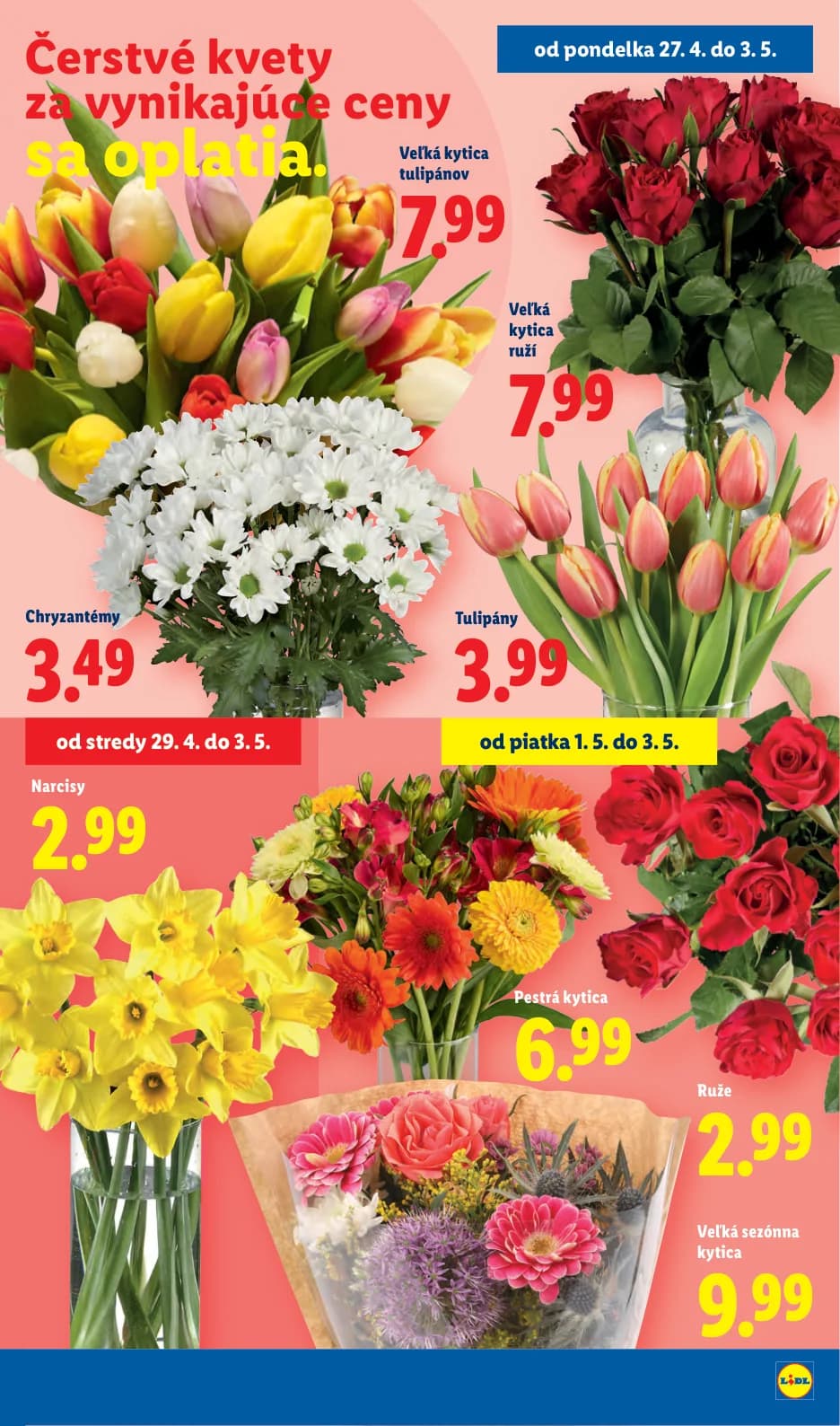 Lidl - strana 43