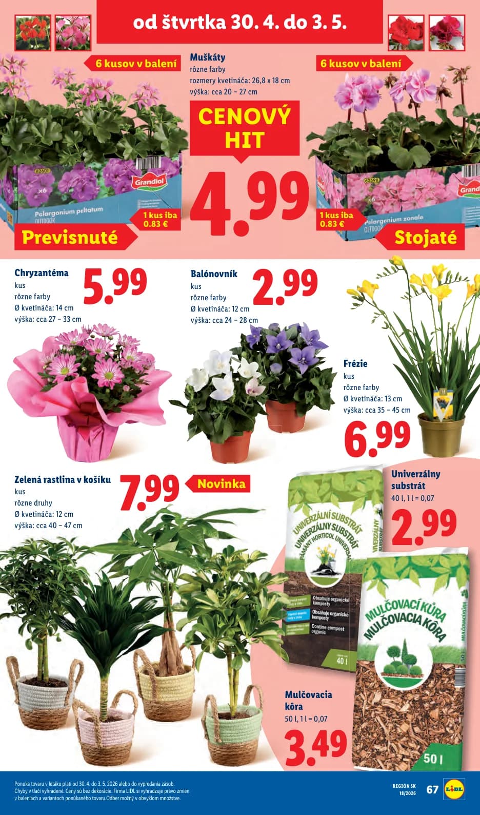 Lidl - strana 72