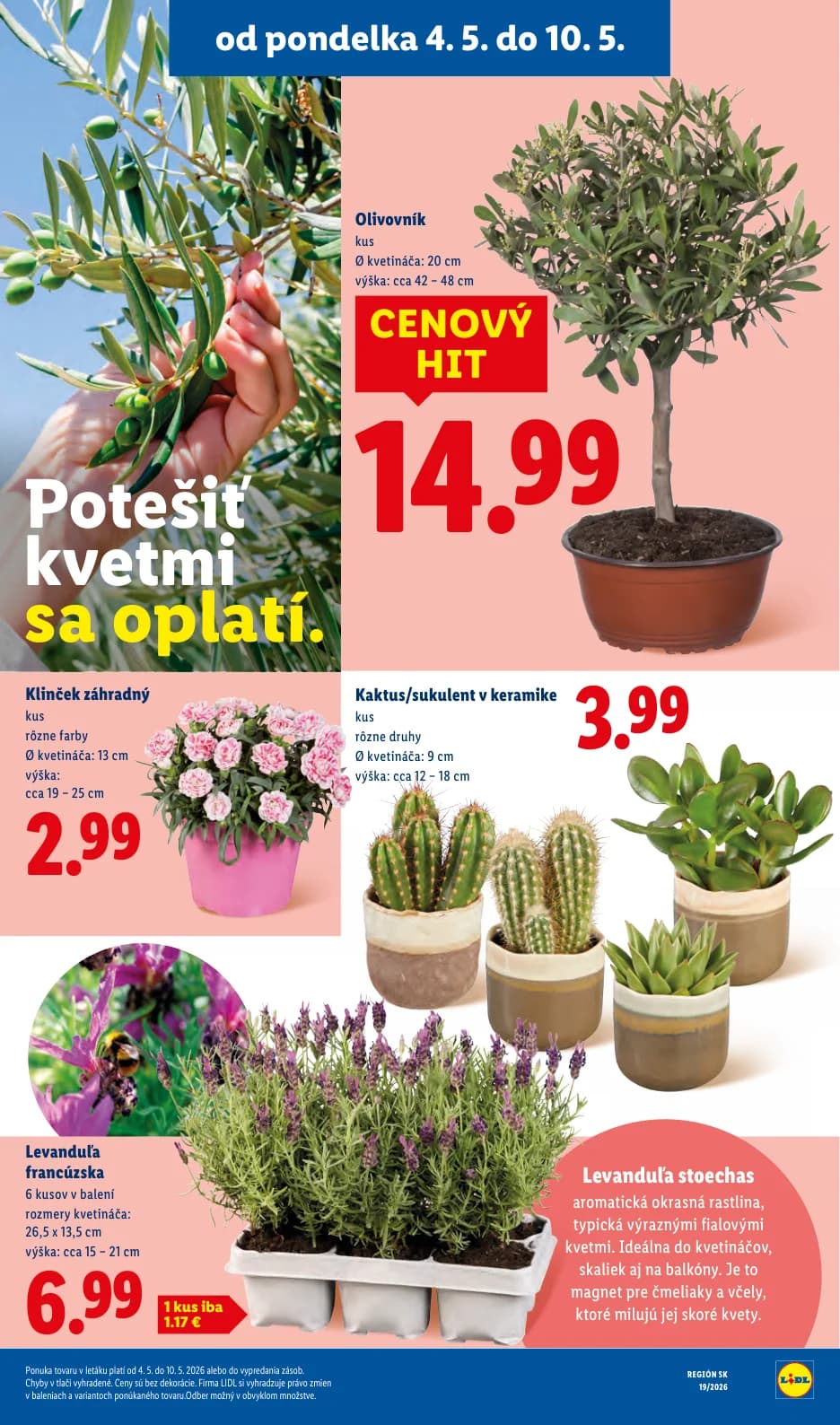 Lidl - strana 42