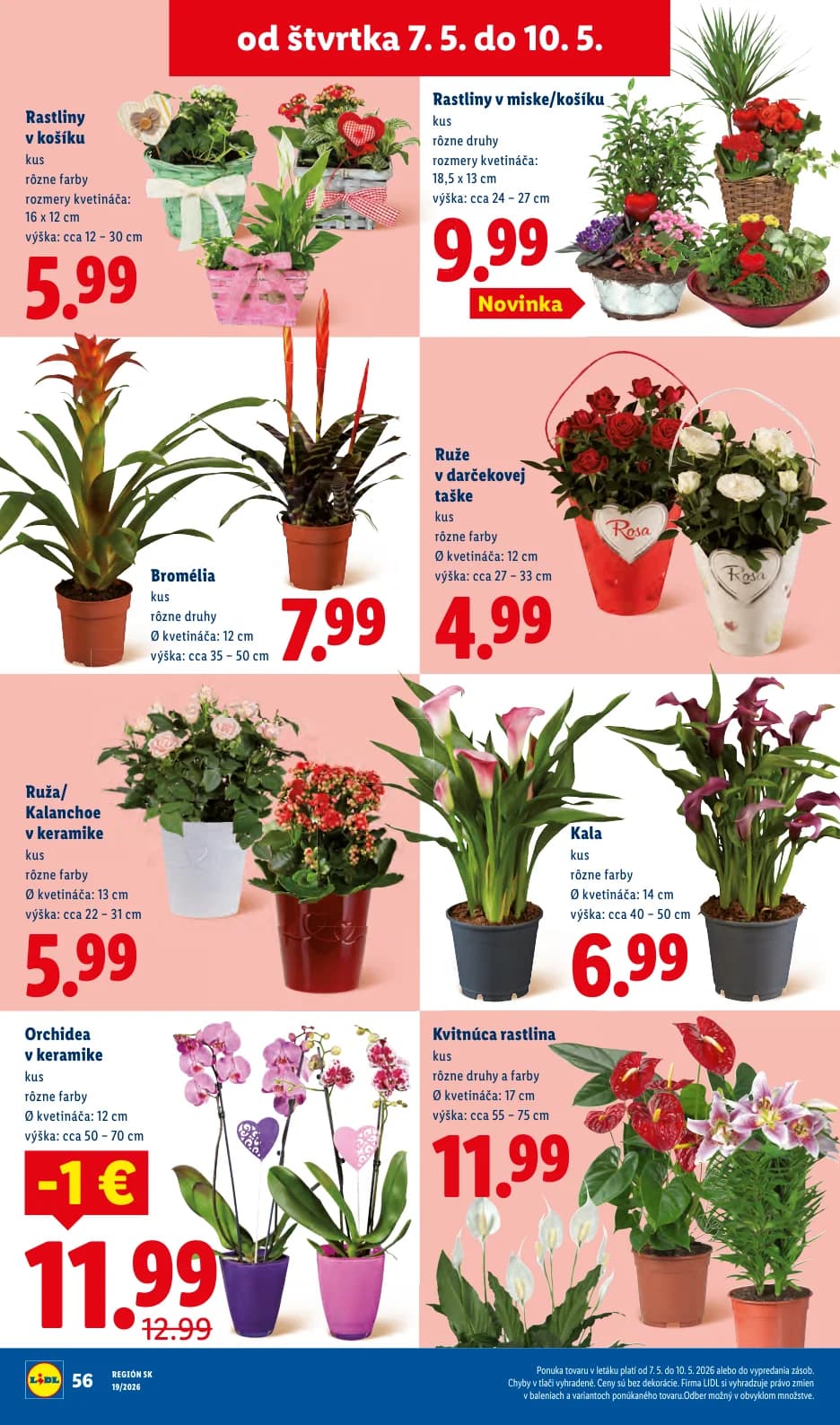 Lidl - strana 68