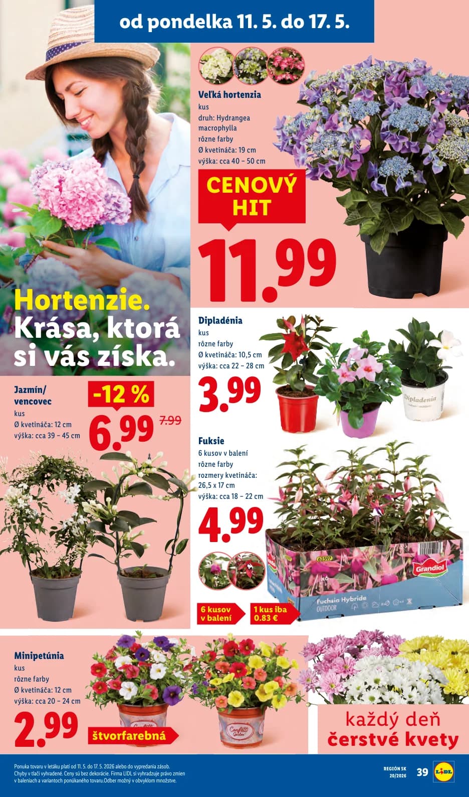 Lidl - strana 38