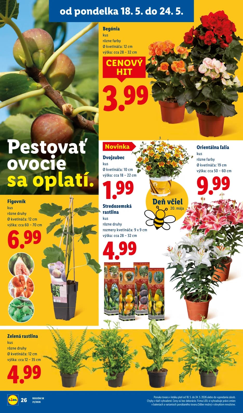 Lidl - strana 32