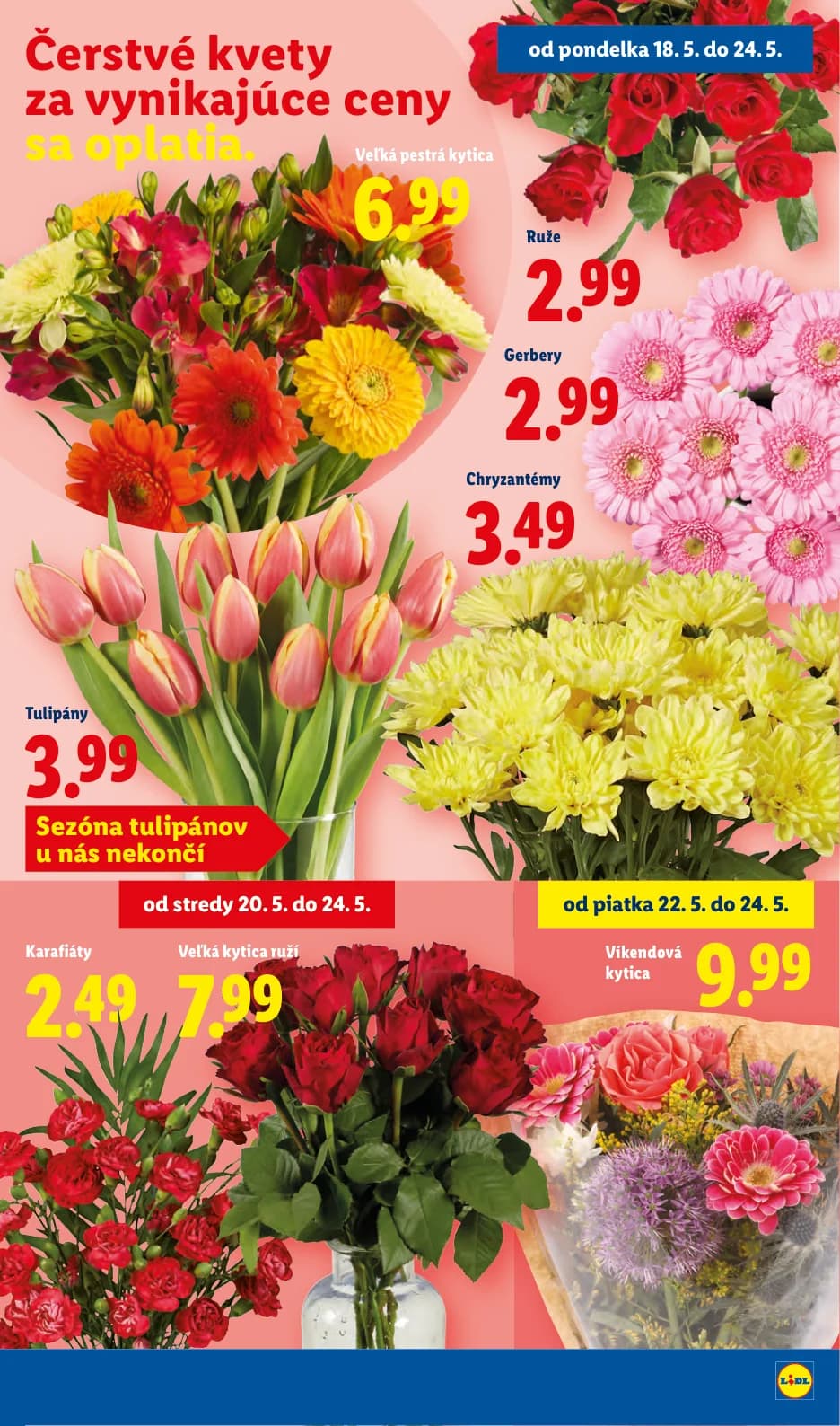 Lidl - strana 33