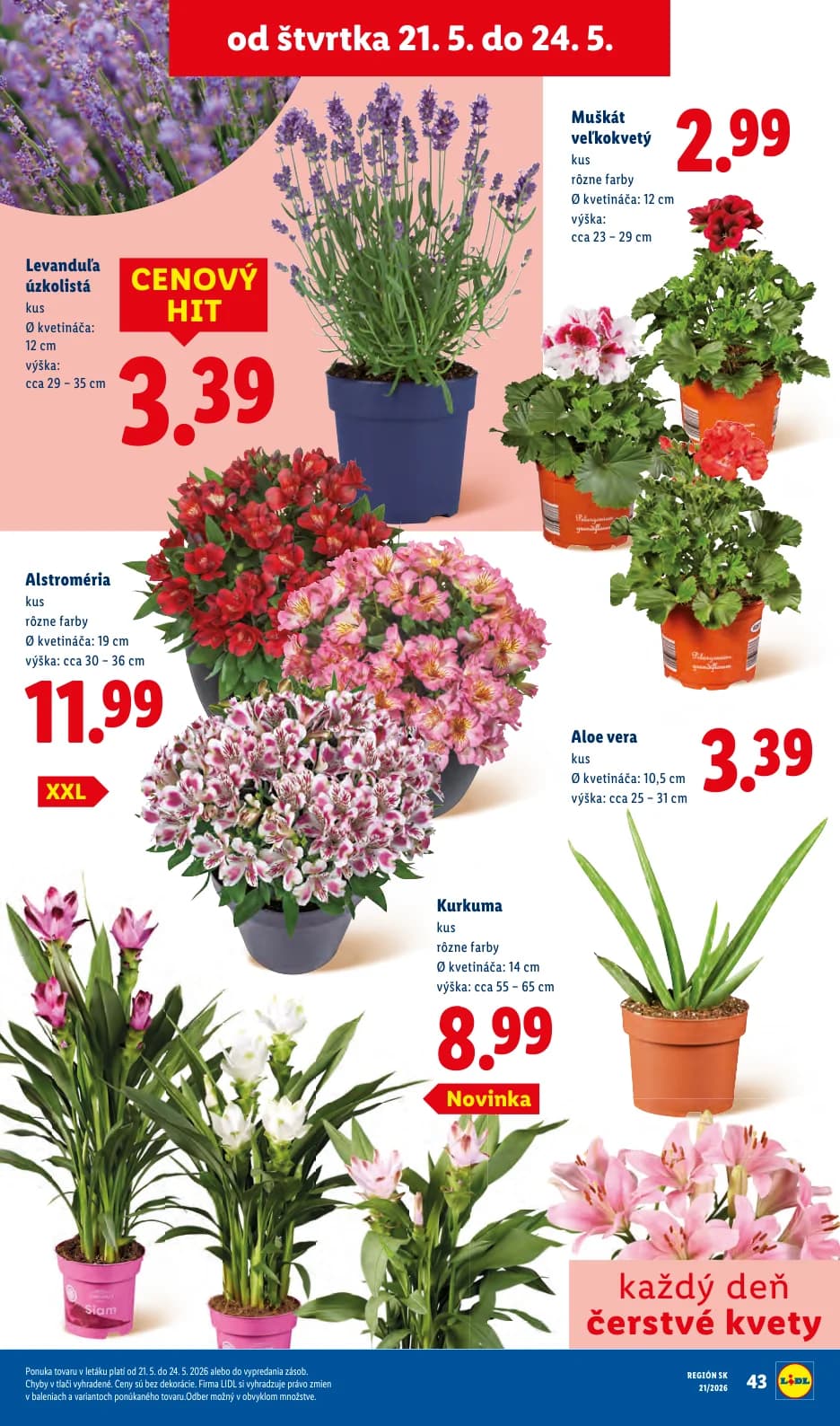 Lidl - strana 78