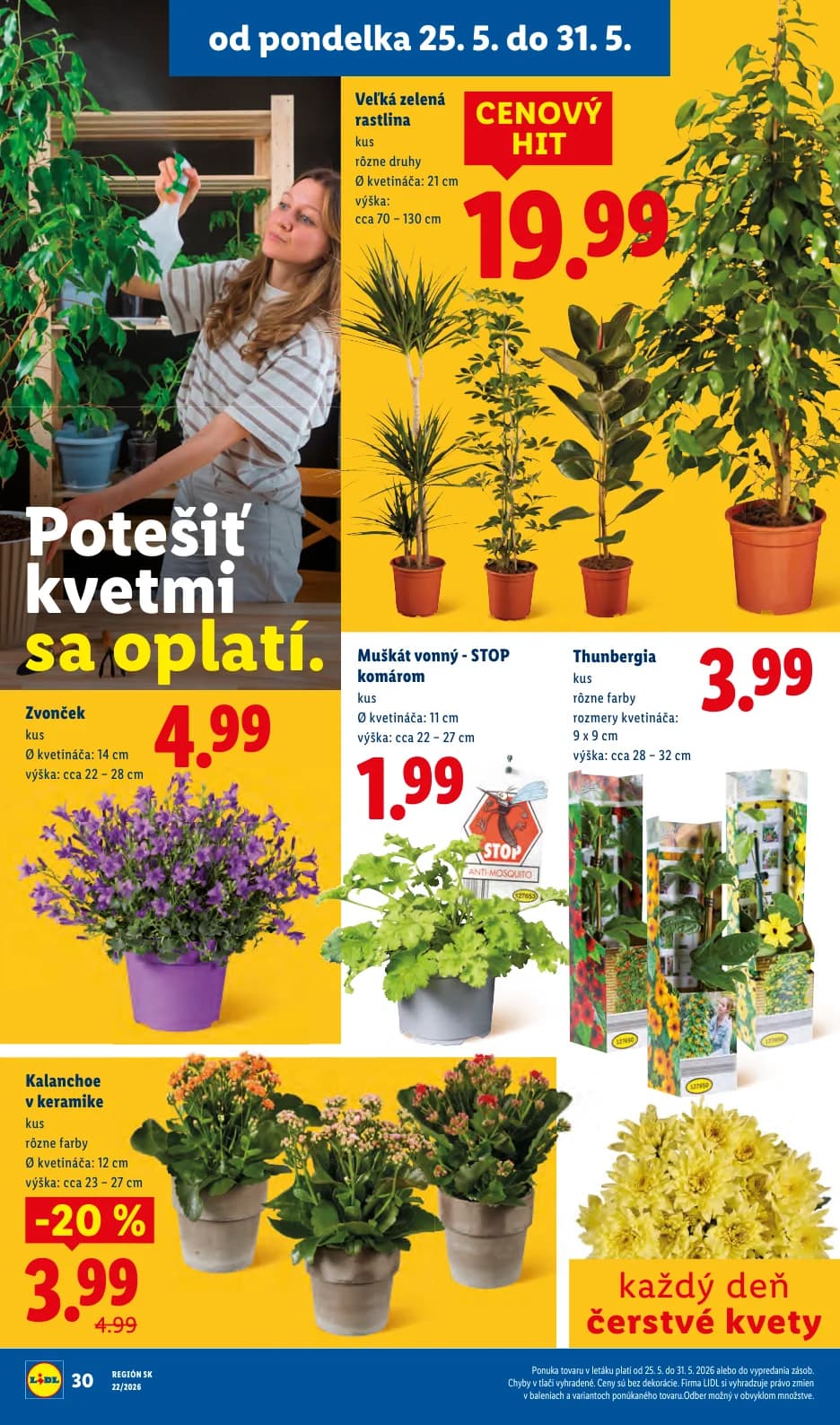 Lidl - strana 48