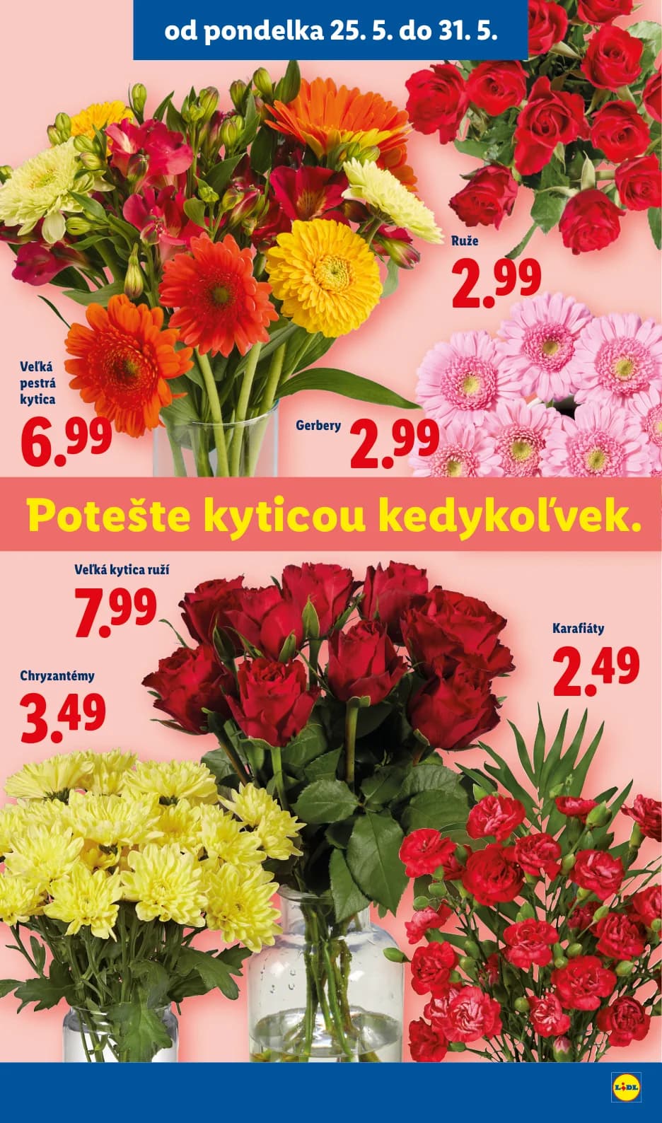 Lidl - strana 49