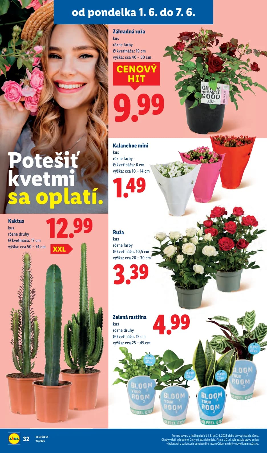 Lidl - strana 46