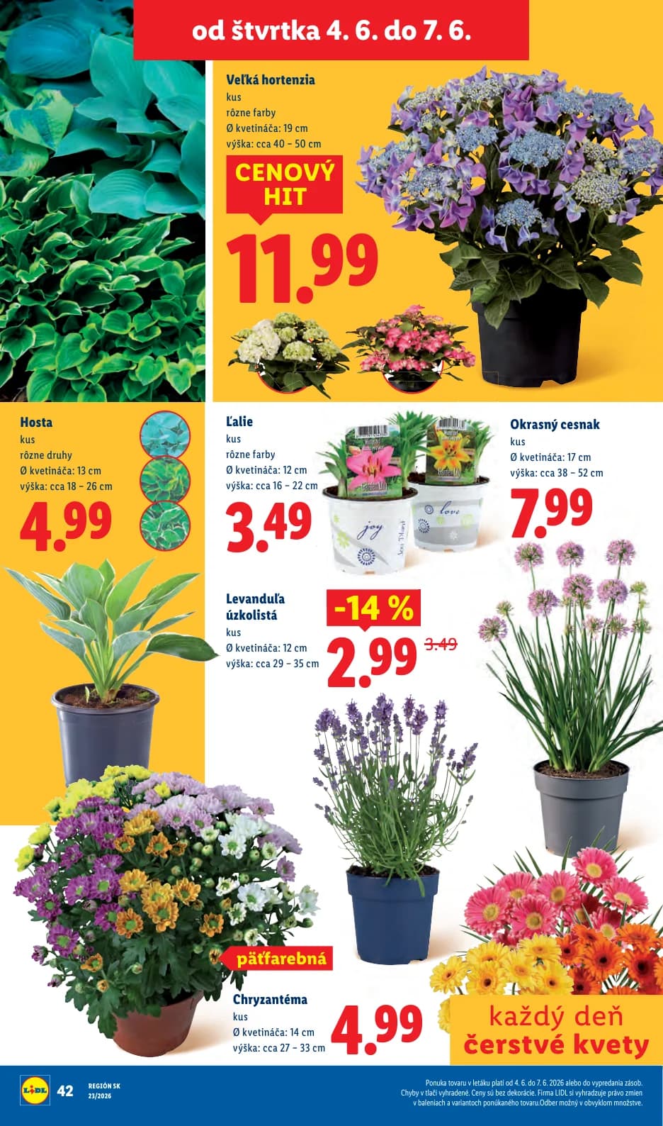 Lidl - strana 78