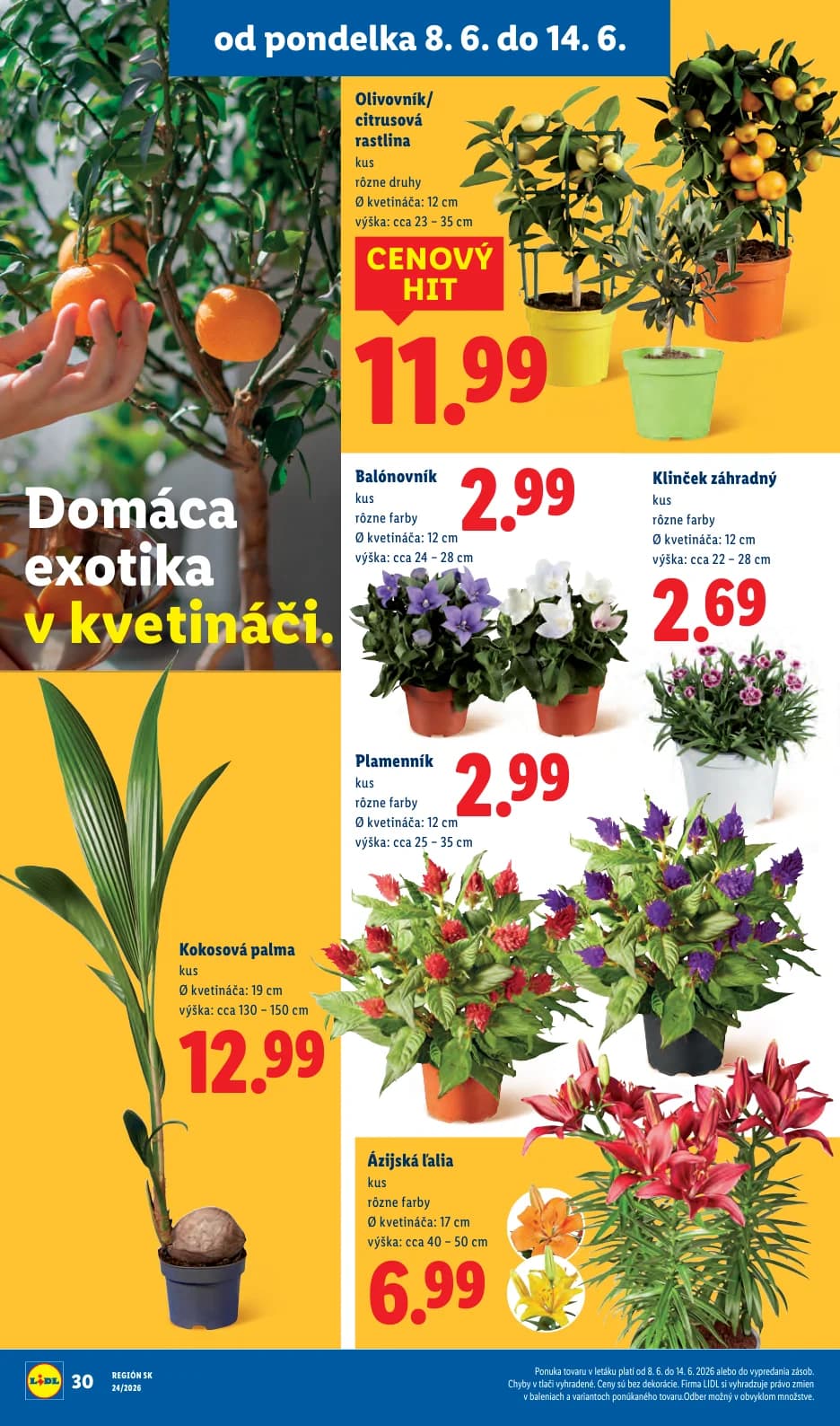 Lidl - strana 44