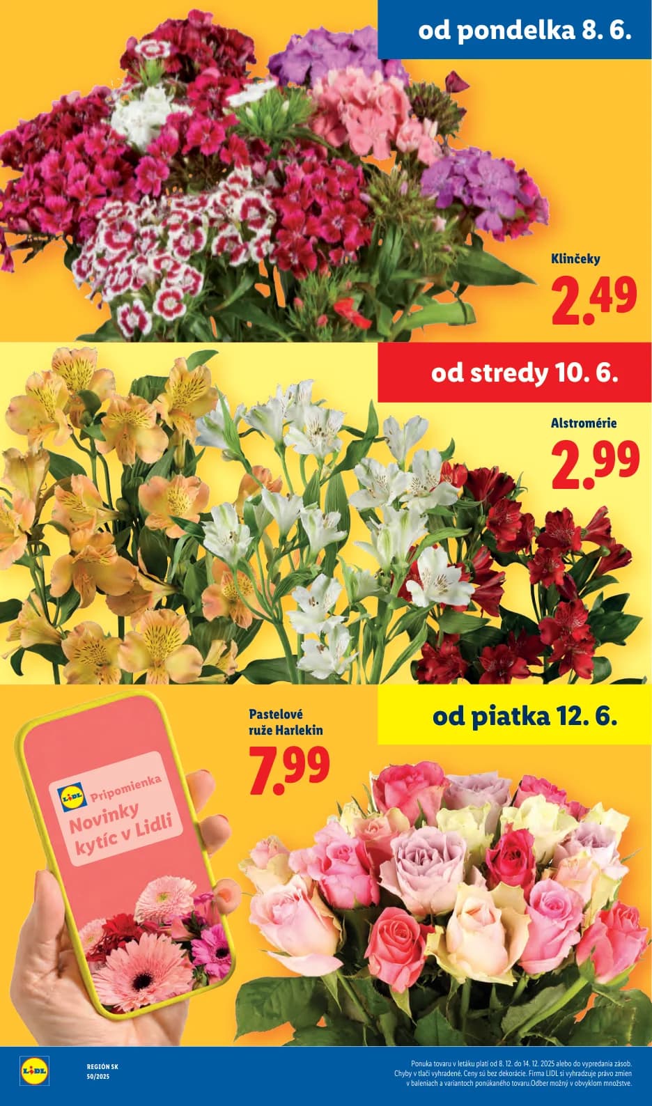 Lidl - strana 45