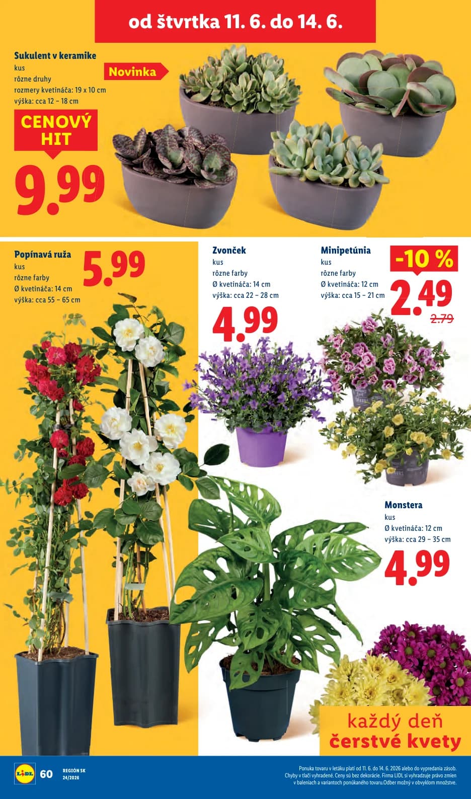Lidl - strana 80