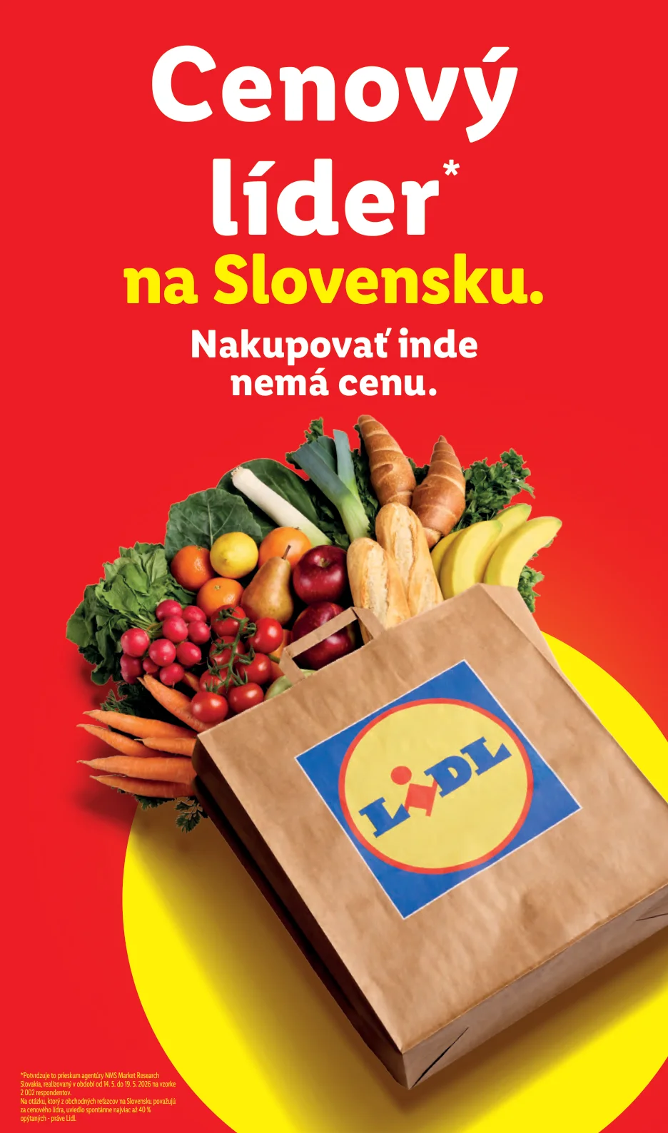 Lidl - strana 33