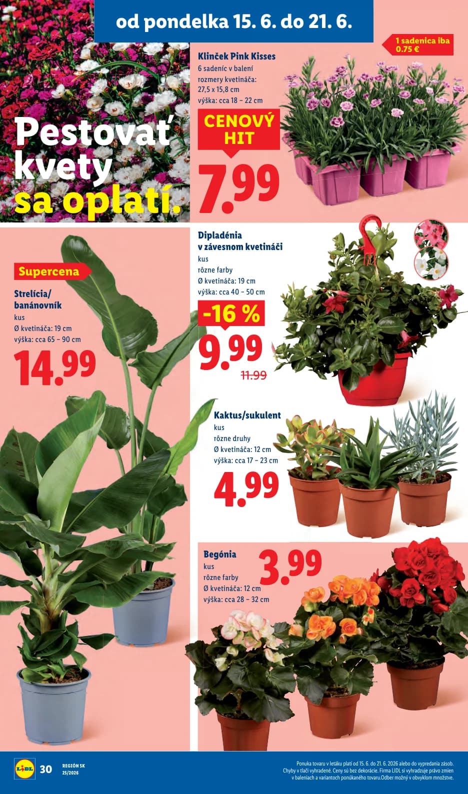 Lidl - strana 45