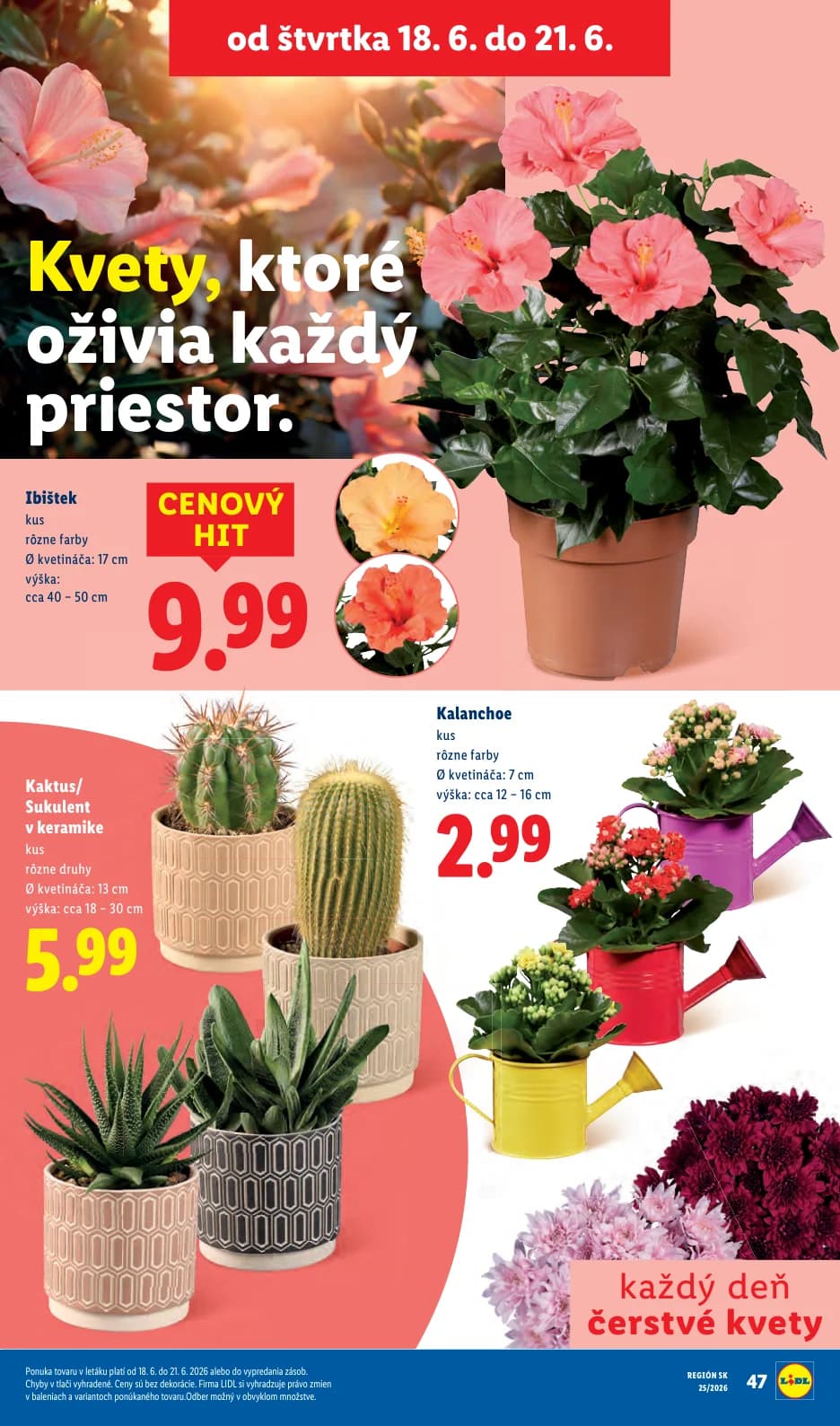 Lidl - strana 79