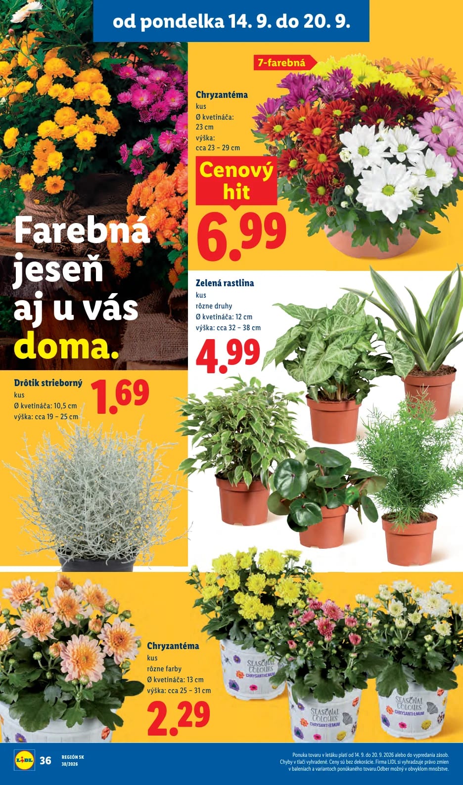 Lidl - strana 50