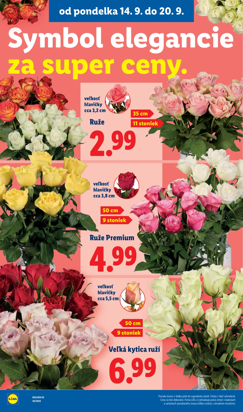 Lidl - strana 51