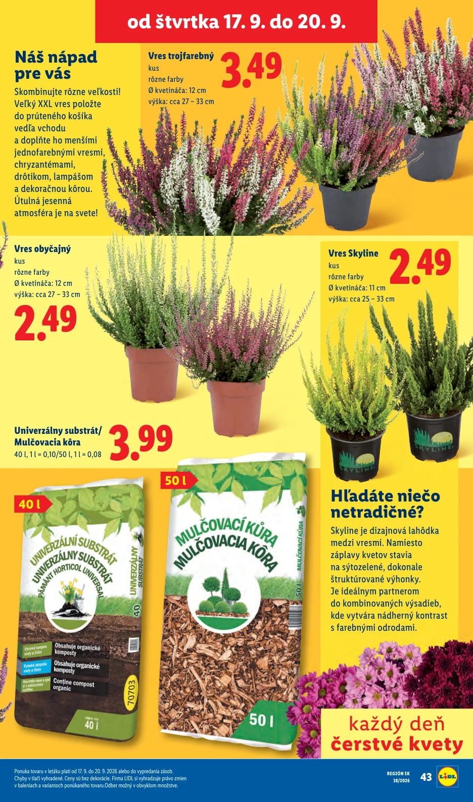 Lidl - strana 79