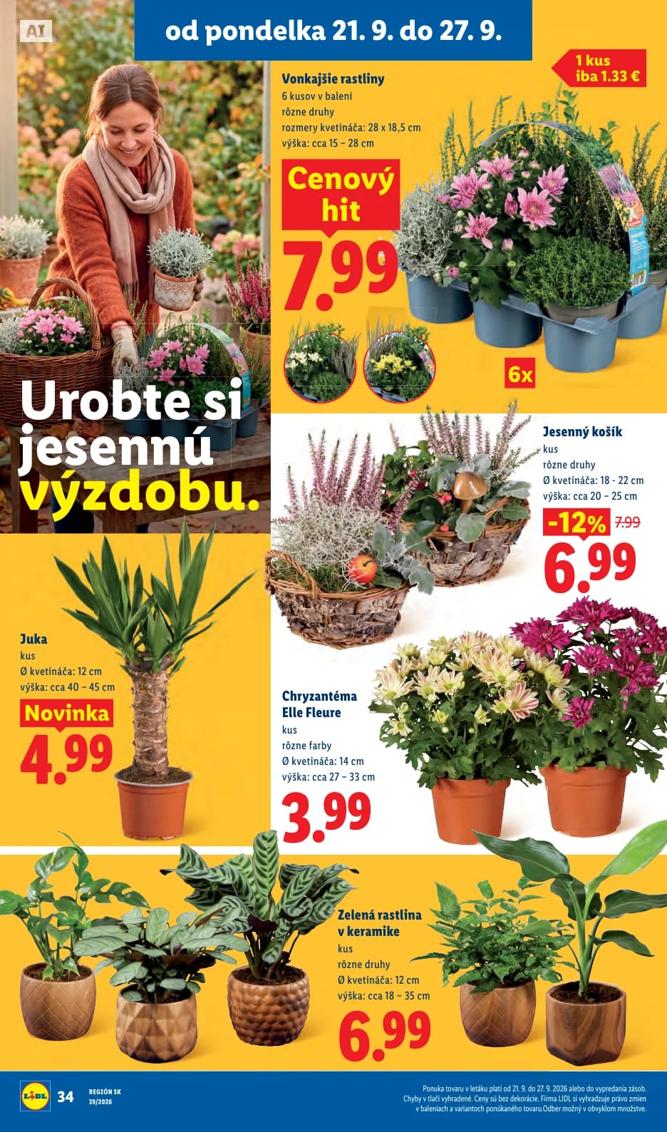 Lidl - strana 49