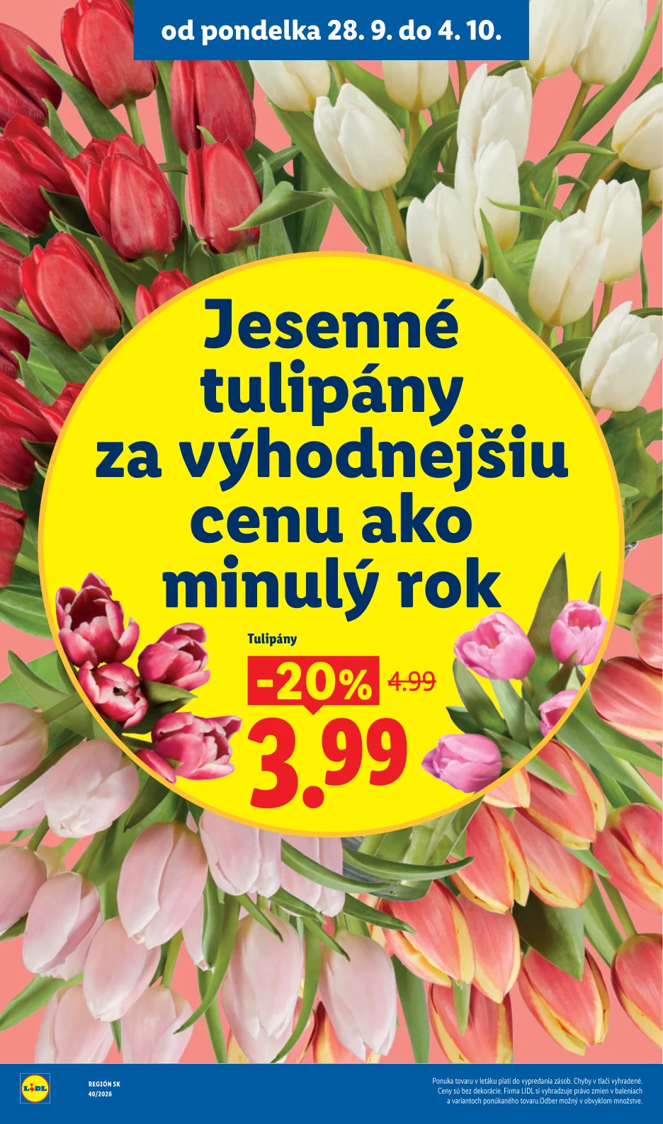 Lidl - strana 50