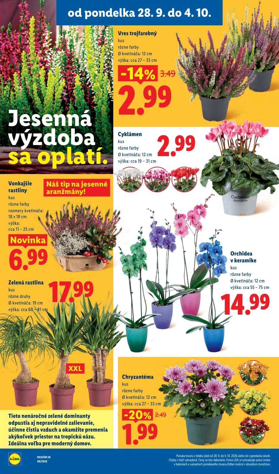 Lidl - strana 51