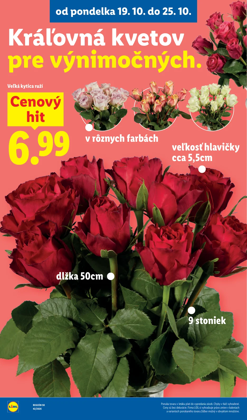 Lidl - strana 50