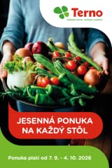 Leták Terno