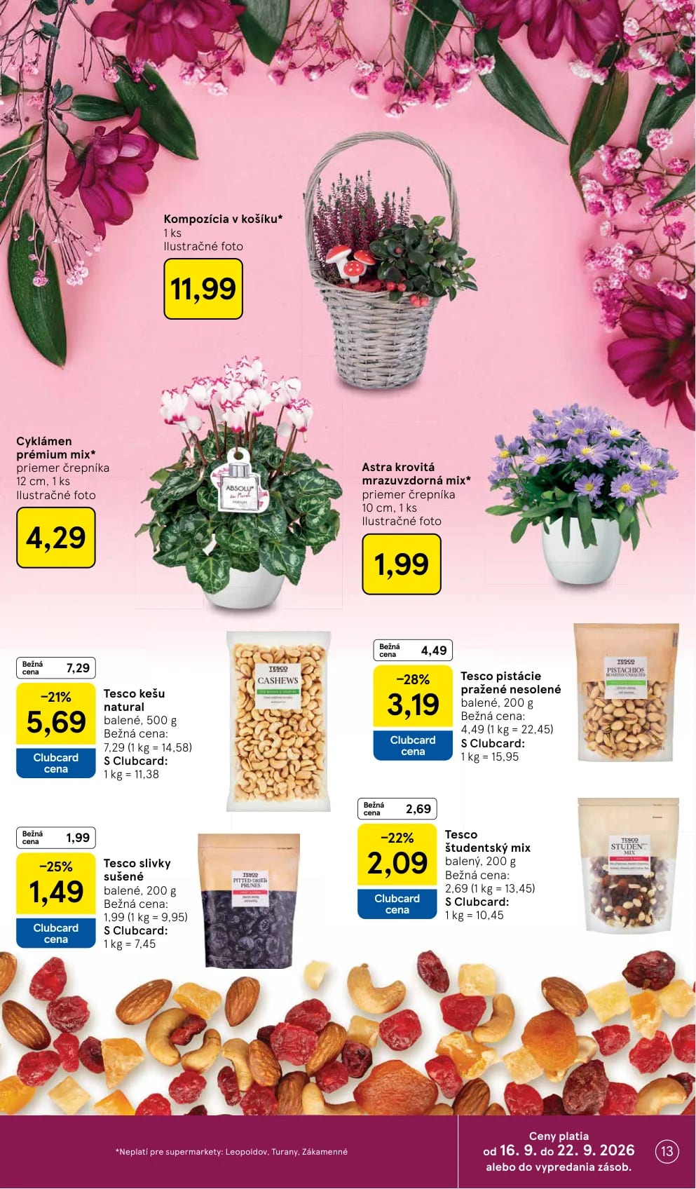 Tesco - strana 13