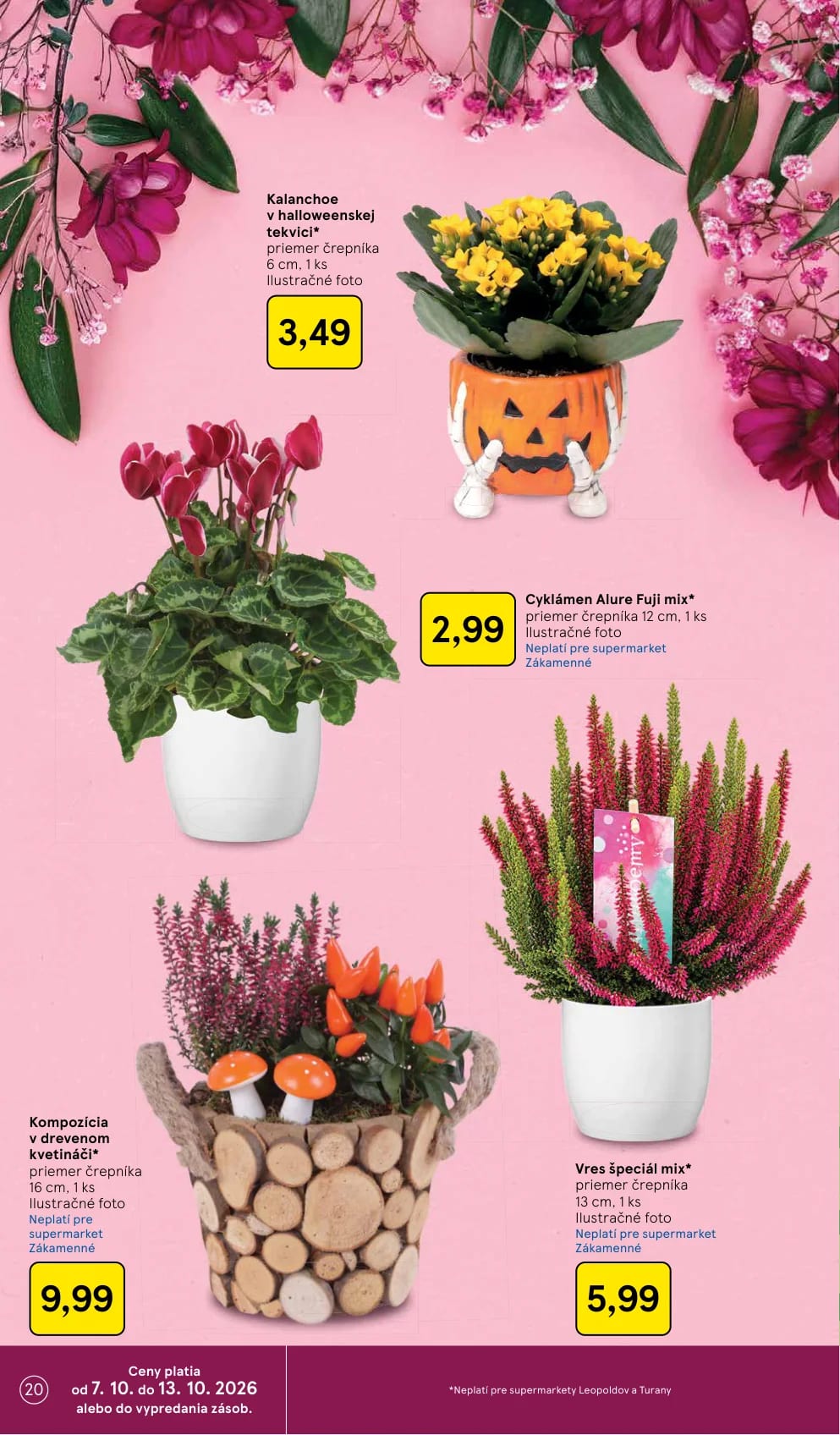 Tesco - strana 20